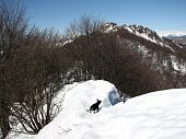31 Passaggio su cornice di neve